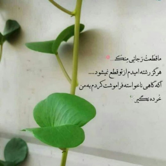 دانلود آهنگ سلام بهنام بانی و حسین تهی از فارس ترانه